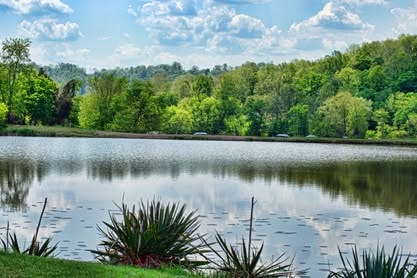 Stillwater Venue lakeside grounds