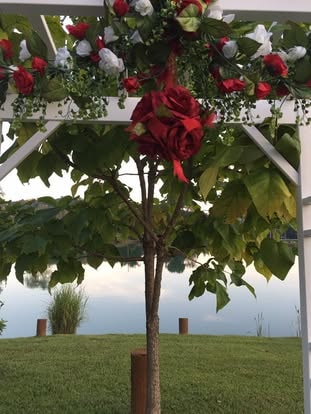 Wedding arch with red roses